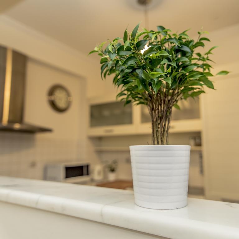 Elegant Supercentral Apartment 테살로니키 외부 사진